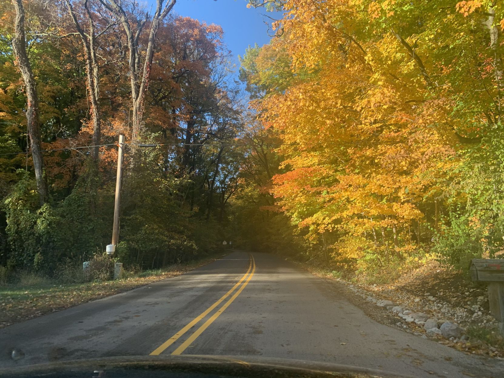 Snake Road fall colors